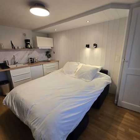 Studio Proche De La Gare Apartment Belleville-en-Beaujolais Екстериор снимка